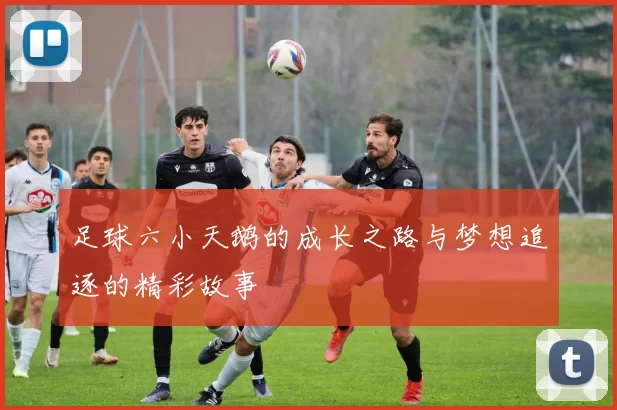 足球六小天鹅的成长之路与梦想追逐的精彩故事