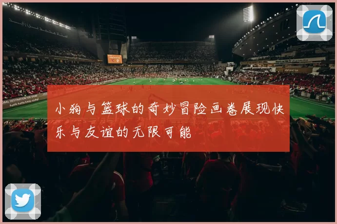 小狗与篮球的奇妙冒险画卷展现快乐与友谊的无限可能
