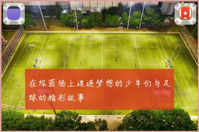 在绿茵场上追逐梦想的少年们与足球的精彩故事