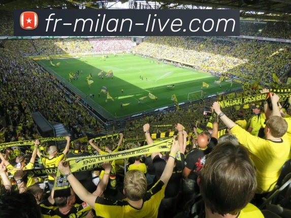 米兰体育APP 封面图